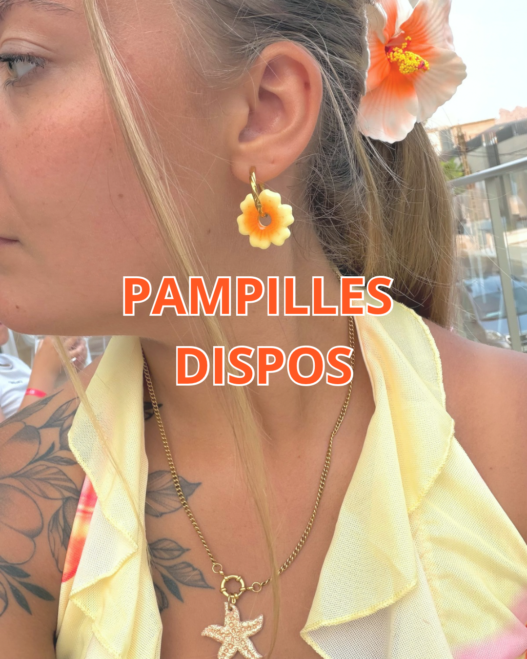 Pampilles dispos