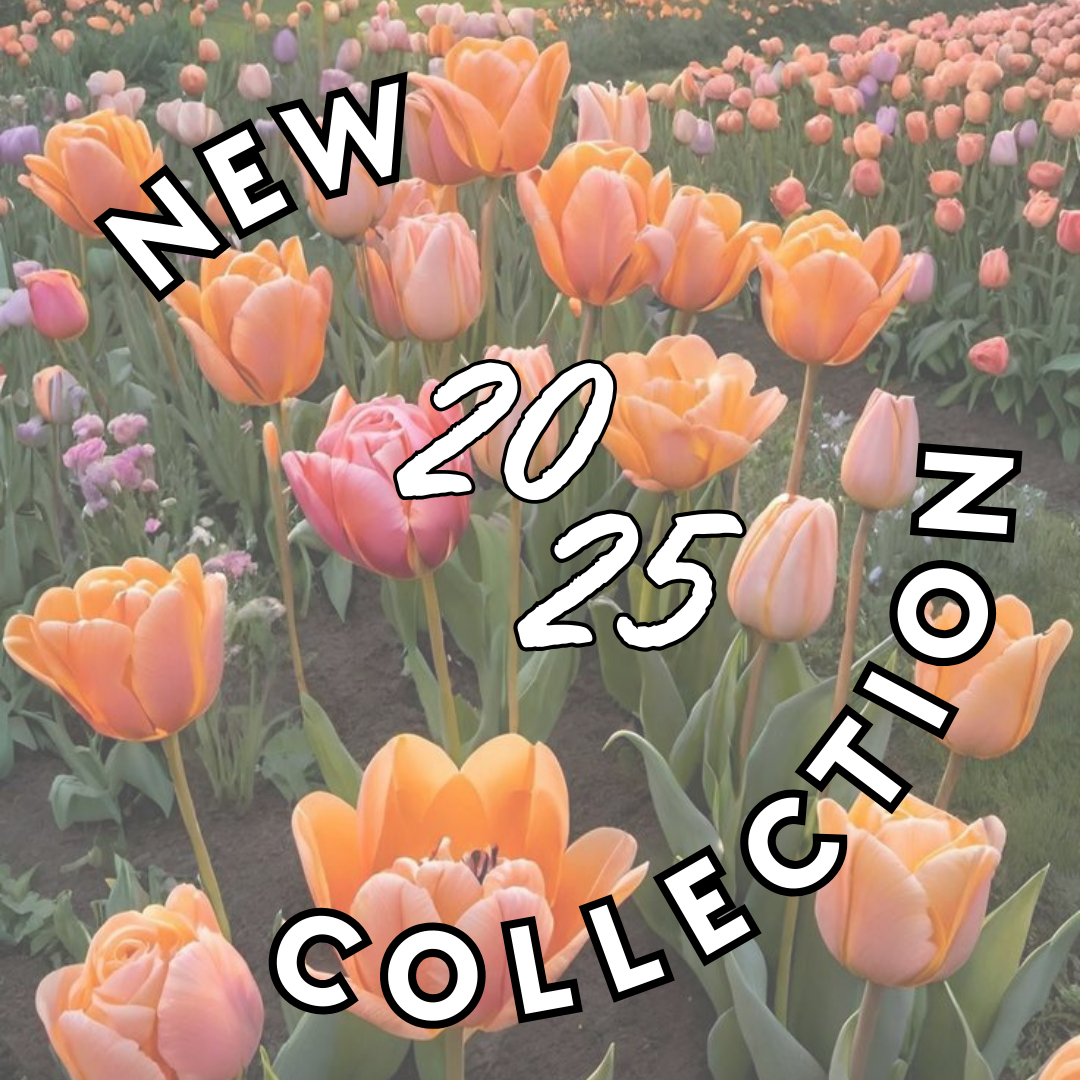 🌻 Nouvelle Collection 🌻