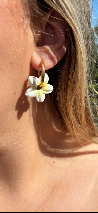 Tiaré -  Blanc/jaune