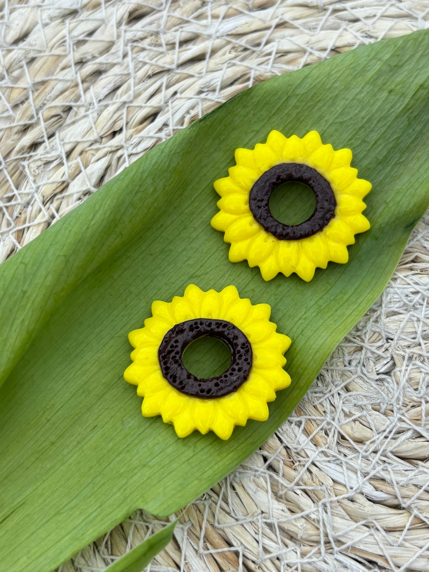 Tournesols (sans créoles)